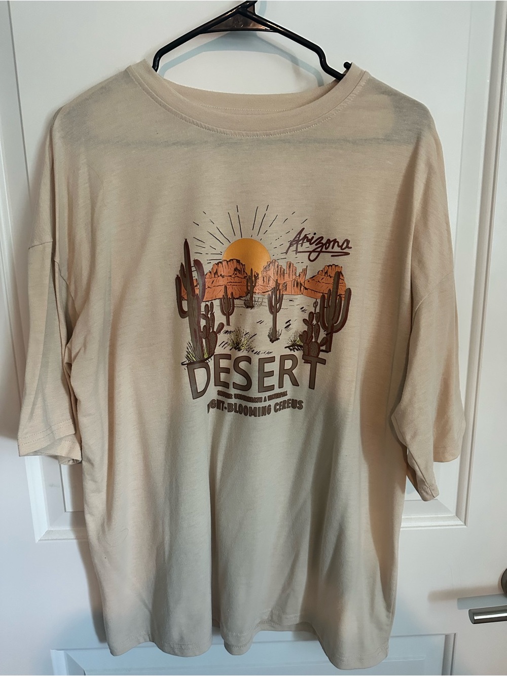 SHEIN Beige Desert Graphic Short Sleeve Tee